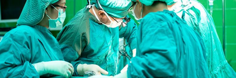 Die 3D-gedruckten Modelle geben Studierenden die Möglichkeit, an lebensechten Nachbildungen des menschlichen Körpers zu arbeiten und zu lernen.(Bild:  Gemeinfrei // Pixabay)