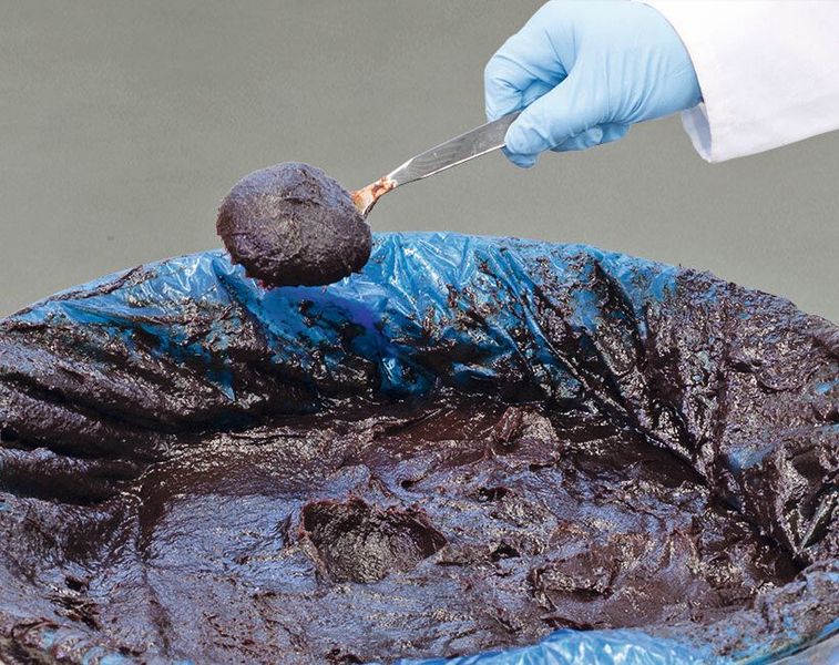 Pflaumenkonzentrat ist ein typisches Medium: Hochviskos und möglichst schonend zu fördern.  (Bild: Flux)