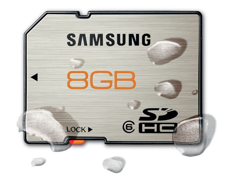 Bis auf die Compact Flash Card überleben die Samsung-Memory-Cards 24 Stunden in Salzwasser. (Archiv: Vogel Business Media)