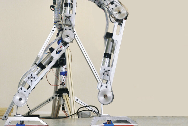 Der Roboter Amber 2 wurde unter Verwendung hochwertiger und präziser Bauteile gefertigt, um ein natürlicheres Gehverhalten als andere Roboter zu erzielen. (Bild: Texas A&M University)