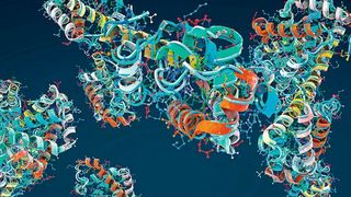 Der Begriff Protein stammt von dem griechischen Wort Proton für „das Erste, das Wichtigste“, da Eiweiß für unseren Körper sehr wichtig ist (© Christoph Burgstedt - stock.adobe.com)