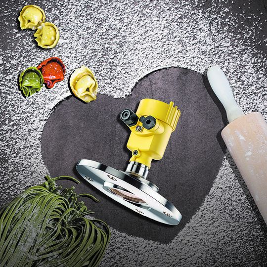 Ein Sensor, den die Müller lieben – Mehlstaub ist für den Vegapuls 69 kein Problem.(Bild:  ©gitusik - stock.adobe.com, Vega)