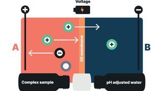 Funktionsschema der Elektro-Membran-Extraktion (Details weiter unten im Text) (Bild: Dichrom)