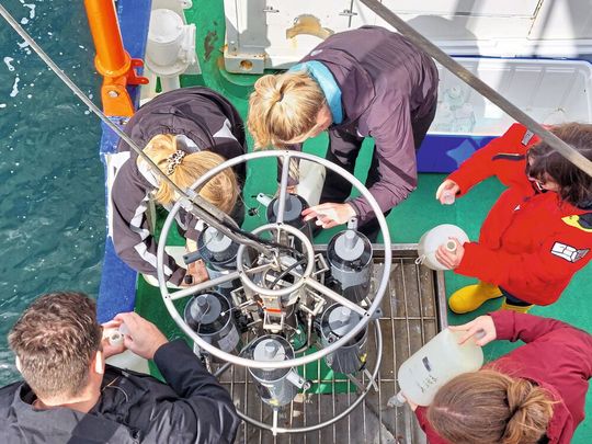 Mit dem Kranzwasserschöpfer werden vor Boknis Eck jeden Monat Wasserproben aus verschiedenen Tiefen an Bord geholt, abgefüllt und dann im Labor untersucht. (Bild:  Ilka Thomsen)