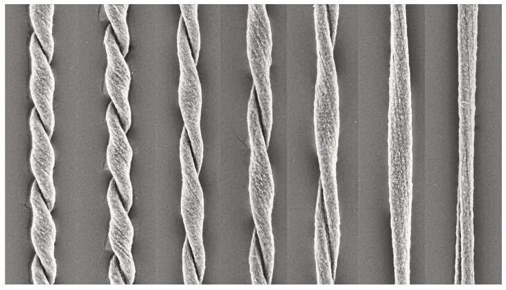 Eine Mikrofaser (Durchmesser: 40 Mikrometer) aus Polyvinylalkohol setzt beim schrittweisen „Entdrillen“ gespeicherte Rotationsenergie frei und kann dadruch als Antrieb dienen. (Université de Bordeaux)