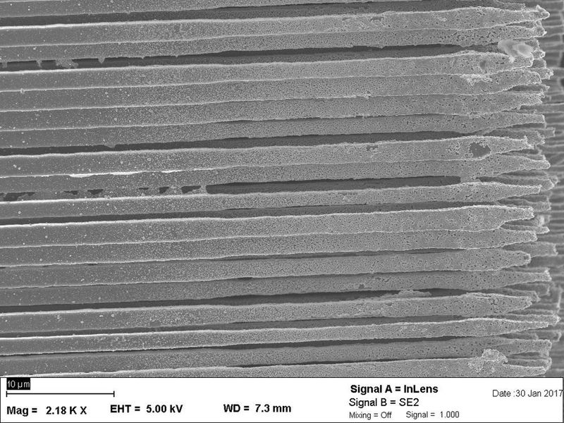 Beim Laden der Batterie dehnt sich Silizium um 400 Prozent aus. Das empfindliche Material könnte dabei zerbrechen. Weitaus flexibler ist es in Form von Mikrodrähten wie Hansen in ihrer Doktorarbeit zeigen konnte. Die Ergebnisse dazu erschienen im Journal of Power Sources. Aber diese Art der Herstellung ist noch zu teuer für die industrielle Produktion.  (Uni Kiel)
