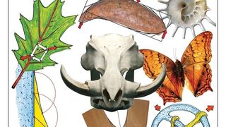  (Archiv: Vogel Business Media)