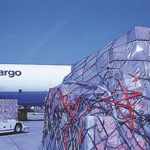 Vor allem im Luftfrachtbereich zählt jedes Kilogramm. Bis zu 30 Euro pro Palette können nach Angaben von Fachleuten beim Lufttransport in die USA eingespart werden. Bild: Lufthansa Cargo