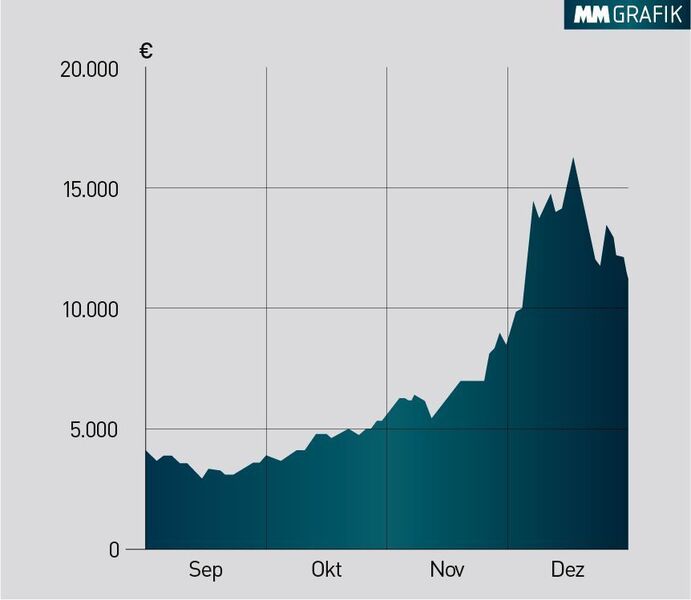 Im Dezember erreichte der Bitcoin seinen bisherigen Höchststand und knackte sogar die 16.000-Euro-Marke. (Datenquelle: Finanzen.net)