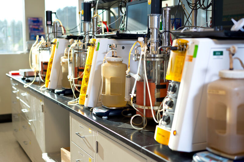 Researchers at REG Life Sciences in South San Francisco, CA are working with ExxonMobil to develop biodiesel from cellulosic sugars using REG proprietary technology. (Picture: REG)