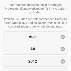Per Dropdown-Menü wählt der Anwender den genauen Motortyp aus.(Bild:  Holz / »kfz-betrieb«)