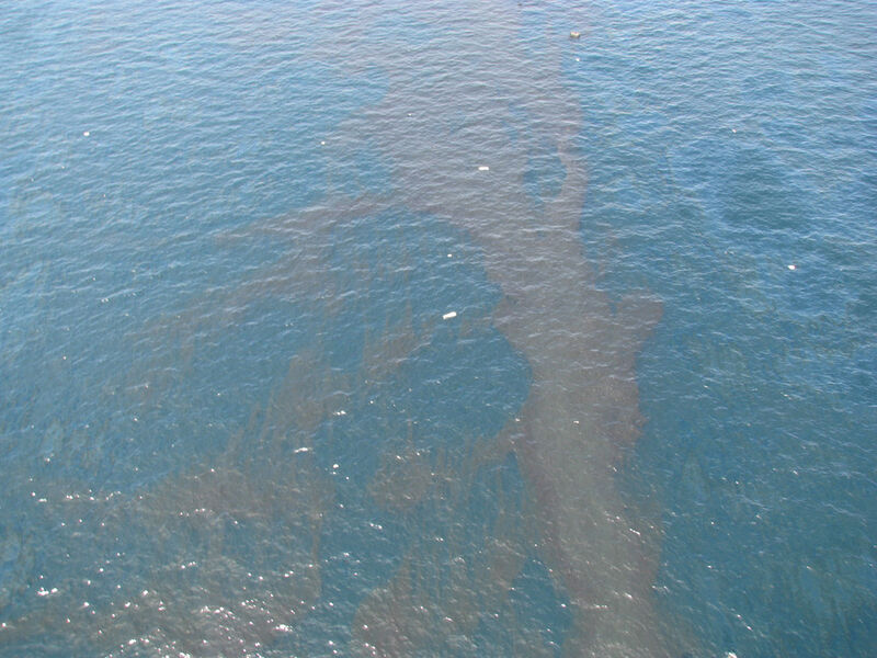 Oil on the surface of the Gulf of Mexico following the Deepwater Horizon spill (Picture: US Coast Guard)