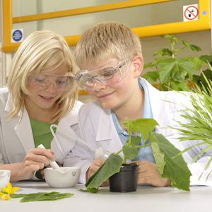 Im Mittelpunkt der Versuche stehen landwirtschaftliche Kulturen wie Reis oder Raps. Sie sollen auf ihre genetischen Grundlagen, ihre Verwendung als Nahrungs- und Energielieferanten oder auf die Verbesserung ihrer Eigenschaften hin untersucht werden. 