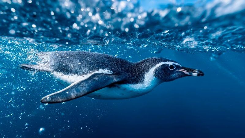 Was Betreiber bei der Wahl zwischen Luftkühlung, Direct-to-Chip-Kühlung und Immersionskühlung beachten müssen. Ist ein Umstieg auf Flüssigkeitskühlung notwendig oder worauf kommt es bei der Planung wirklich an?(Bild: ©  avaye - stock.adobe.com)