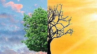 Die Auswirkungen des Klimawandels könnten stärker sein als bisher angenommen, so das Ergebnis einer neuen Studie (Symbolbild). (MaxPixel)