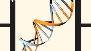 Alternativ zur Fluoreszenzdetektion lassen sich spezifische DNA-Sequenzen mit elektrochemischen DNA-Sensoren nachweisen. (Archiv: Vogel Business Media)