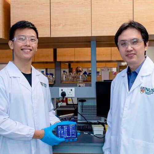 A research team led by Assoc Prof Poh Chueh Loo (right) has pioneered an innovative ‘biological camera’ that harnesses living cells and their inherent biological mechanisms to encode and store data.