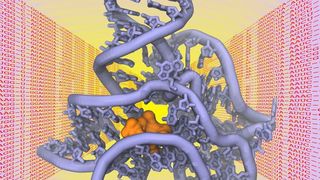 Die räumliche Struktur von Biomolekülen wie Proteinen, DNS oder RNS ist entscheidend für ihre Funktion als „molekulare Maschinen“ in der Zelle. (Bild: Alexander Schug/KIT)
