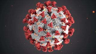 Das SARS-CoV-2-Virus könnte in Zukunft vielleicht über einen neuen optischen Biosensor nachgewiesen werden (Symbolbild). (Bild: gemeinfrei, CDC)