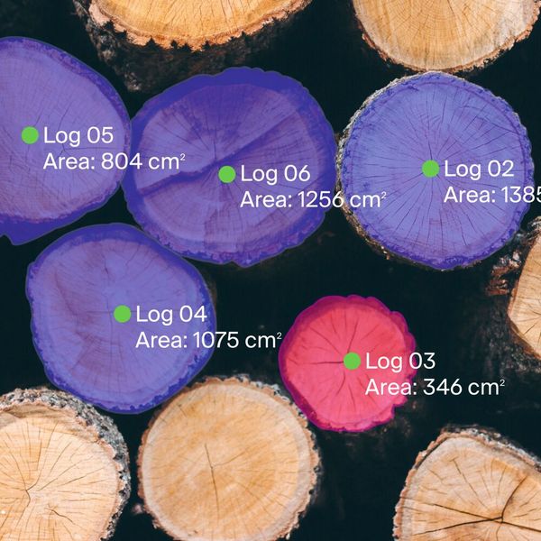 AI Object Detection lokalisiert, zählt und klassifiziert Objekte zuverlässig mittels Bounding Boxes – ideal für Vollständigkeits  und Zählprüfungen bei variierender Objektanzahl. (Bild: Sick)