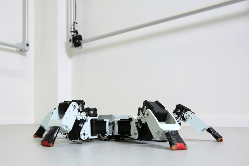 Sechsbeiniger Roboter der ETH Lausanne wird mit Zweifuß-Gang schneller als Insekten. (Alain Herzog/2017 EPFL)