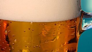 Power für den Kraftsport: Wissenschaftler des Fachgebietes Brauwesen der Technischen Universität Berlin haben für das Start-up Joybräu das nach eigenen Angaben weltweit erste alkoholfreie Proteinbier entwickelt.  (gemeinfrei)