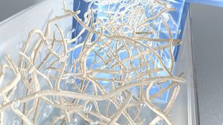 Künstlerische Darstellung der Zellulosefaden-Produktion: Die in Wasser schwimmenden Nano-Fasern werden durch seitliche Wasserstrahlen beschleunigt und richten sich dadurch entlang der Fließrichtung aus, um sich schließlich zu einem gemeinsamen festen Faden zu verhaken. (Bild: DESY/Eberhard Reimann)