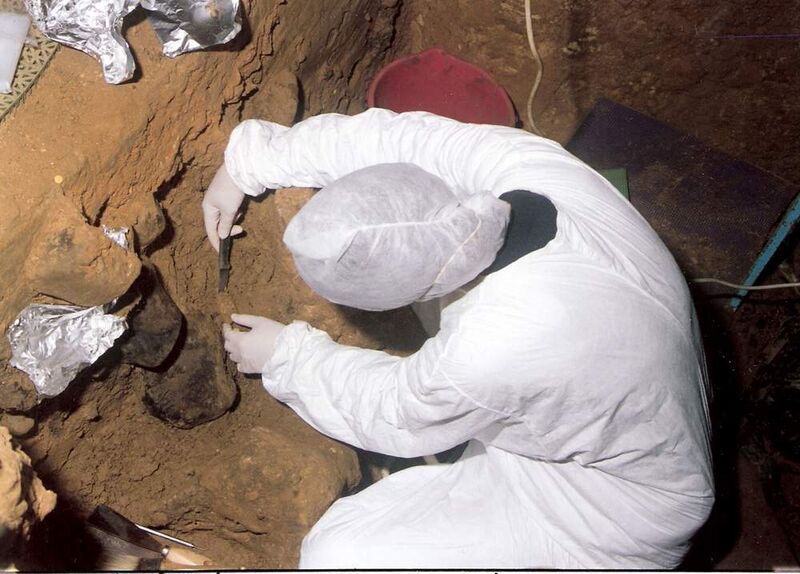 Für das Projekt wurden auch Neandertalerknochen unter sterilen Bedingungen an der El Sidron-Fundstelle in Spanien freigelegt.  (Bild: Max-Planck-Institut für evolutionäre Anthropolgie)