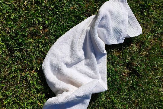 Tja, da liegt das sprichwörtlich geworfene Handtuch. Leider symbolisiert es derzeit den Abgesang vieler deutscher Unternehmen, wie eine Analyse ergab. Die Zahl der Pleiten ist so hoch, wie schon lange nicht mehr. Schlimmer noch – die Entwicklung bedroht unsere Volkswirtschaft.(Bild:  F. Rotteee)