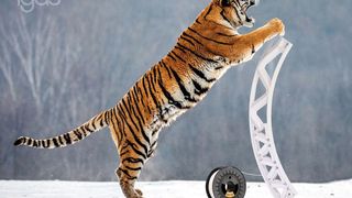 Der 3D-Druck von Tribo-Komponenten reduziert den Materialeinsatz und die Produktionszeit. (Igus)