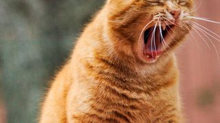 Bei so viel Input macht sich Müdigkeit bei den Webnutzern breit. Wie können Sie mit Ihrem Marketing jetzt positiv rausstechen? (Bild: gemeinfrei)