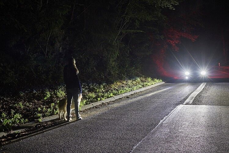 Ein Lichtkegel, der auf das Objekt zuläuft, hilft dem Fahrer, das Objekt frühzeitig wahrzunehmen. (Foto: Ford)