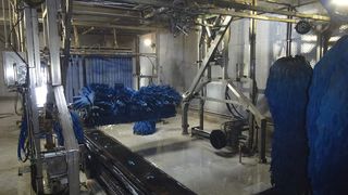 de-2023-04-803-bild-1-aufmacher-ace-industriestossdaempfer-pkw-waschanlage-ret-150x100-cmyk (Quelle: MTE GmbH)