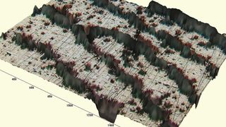 3D-Abbildung eines Fingerabdrucks mit einem optischen Mikroskop (Bild: Institut Laue-Langevin)