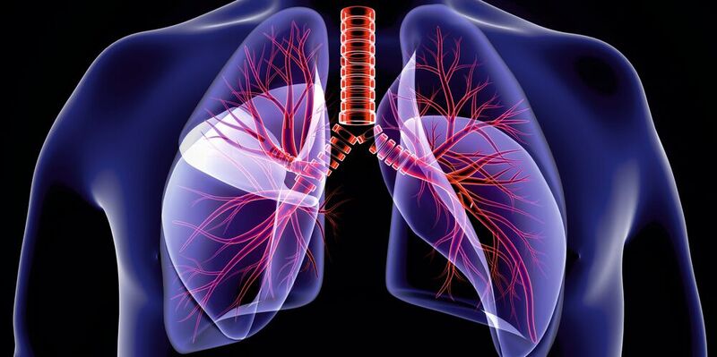 Abb. 1: Lungensymptome sind bei Mukoviszidose besonders schwerwiegend – zäher Schleim kann die Atmung behindern. 