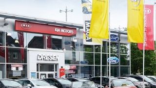 39587315 (Foto: Dresen)