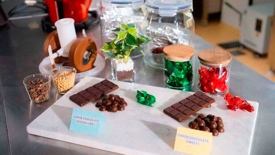 The NUS research team pioneered two innovative techniques using easy-to-obtain enzymes that alter the flavour of roasted carob pulp, enabling it to more closely mimic the rich bitterness and sweetness of cocoa. (Source:  NUS Faculty of Science)