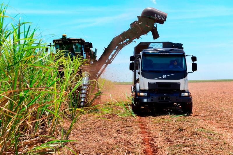 In der letzten Anbausaison dienten die Zuckerrohrfelder des brasilianischen Unternehmens Usina Santa Terezinha Group als Versuchsfläche für die Erprobung eines Fahrzeugprototyps von Volvo Trucks.  (Volvo Truck Corporation)