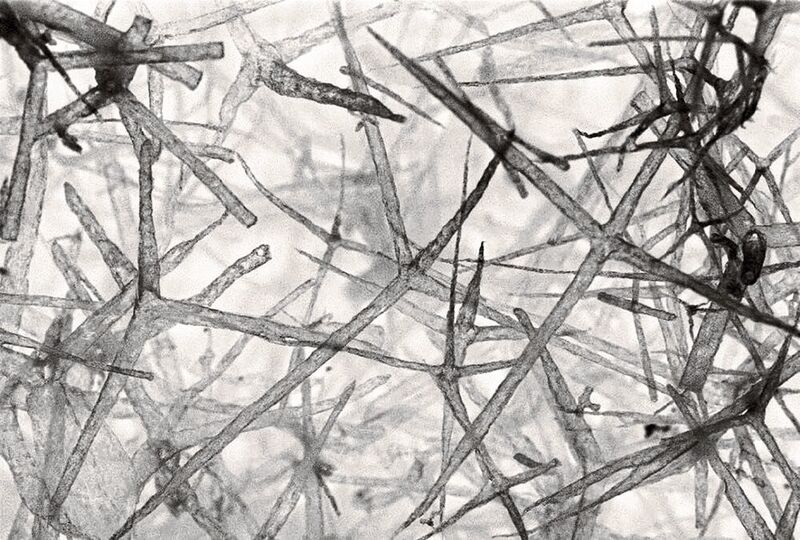 In dem feinen Netz aus einer Vielzahl von Hohlröhren, jede nur wenige Mikrometer groß, werden einfallende Laserstrahlen in dem Aerobornitrid so stark gestreut, dass ein homogenes weißes Licht reflektiert wird.  (Uni Kiel)