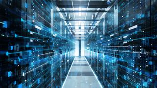 Juniper_WC_1106 (Canva)