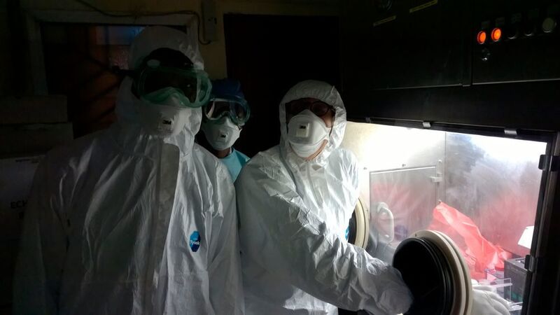 Glücksmoment bei 35 °C im Sicherheitslabor in Guinea: Der erste positive Ebola-Schnelltest liegt vor. (Bild: FZMB)