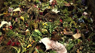 Mittlerweile haben Forscher gleich mehrere Möglichkeiten gefunden, um mithilfe von Bioabfällen grünen Wasserstoff herstellen zu können.  (Bild: gemeinfrei)