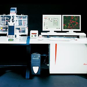 Abb.1: Die Fluoreszenzworkstation Leica AF6000 LX beugt Thermoeffekten vor und unterbindet damit
Instabilitäten im Fokus – von spezieller Wichtigkeit bei Langzeitaufnahmen lebender Zellen.