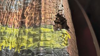 Beschädigte oder verschlissene Funktionsoberflächen müssen vor der Neubeschichtung aufwändig abgetragen werden.  (Bild: Durum)