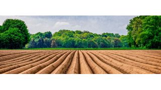 Rund 80 Prozent der Landflächen in Europa sind besiedelt und werden land- und forstwirtschaftlich genutzt. (gemeinfrei)