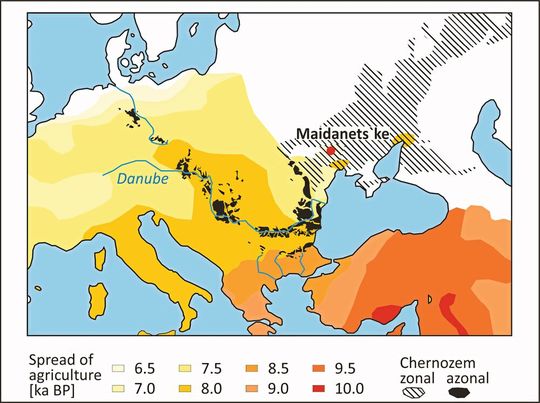 Die Schwarzerden der gemäßigten Klimazonen (temperate humid) sind in schwarz dargestellt und finden sich v. a. entlang der großen Flusssysteme Donau und Elbe. Entlang dieser hat sich auch das „Neolithische Paket“ verbreitet. Die zeitliche Angabe ist in BP (before present = vor heute). Die Symbiose Mensch–Regenwurm ist viele tausend Jahre alt und hat in vielen Regionen zur Entstehung von Schwarzerden geführt.(Bild:  Geoderma/Stefan Dreibrodt)