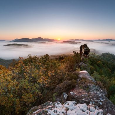 Der Pfälzer Wald in Rheinland-Pfalz ist eine der größten zusammenhängenden Waldlandschaften Deutschlands. (Bild: © marcelheinzmann – stock.adobe.com)