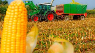 Die Fachagentur Nachwachsende Rohstoffe (FNR) erhebt die Anbauzahlen mit Unterstützung der AFC Consulting Group im Auftrag des Bundesministeriums für Ernährung und Landwirtschaft. (© countrypixel - Fotolia)