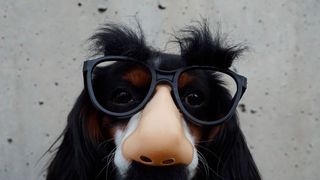 Lustige und außergewöhnliche Werbung sorgt sie für Aufmerksamkeit und punktet auf dem Sympathie-Konto der Marke. (gemeinfrei)