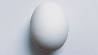 Researchers have discovered the universal mathematical formula that can describe any bird’s egg existing in nature. (Public Domain)